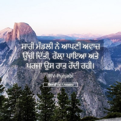 Picture 05 - ਗਿਣਤੀ 14:1 PANIRV - ਸਾਰੀ ਮੰਡਲੀ ਨੇ ਆਪਣੀ - Bible Verse Picture
