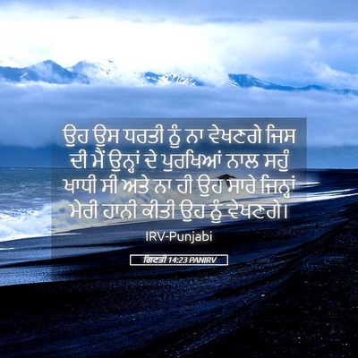 Picture 05 - ਗਿਣਤੀ 14:23 PANIRV - ਉਹ ਉਸ ਧਰਤੀ ਨੂੰ ਨਾ - Bible Verse Picture