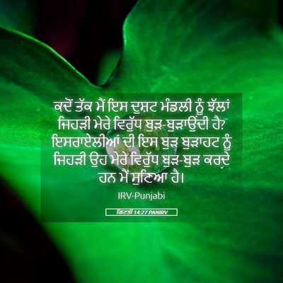 Picture 05 - ਗਿਣਤੀ 14:27 PANIRV - ਕਦੋਂ ਤੱਕ ਮੈਂ ਇਸ - Bible Verse Picture