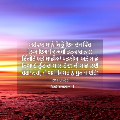 Picture 05 - ਗਿਣਤੀ 14:3 PANIRV - ਯਹੋਵਾਹ ਸਾਨੂੰ ਕਿਉਂ - Bible Verse Picture