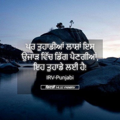 Picture 05 - ਗਿਣਤੀ 14:32 PANIRV - ਪਰ ਤੁਹਾਡੀਆਂ - Bible Verse Picture