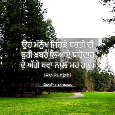 Picture 05 - ਗਿਣਤੀ 14:37 PANIRV - ਉਹ ਮਨੁੱਖ ਜਿਹੜੇ - Bible Verse Picture