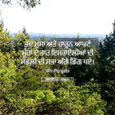 Picture 05 - ਗਿਣਤੀ 14:5 PANIRV - ਤਦ ਮੂਸਾ ਅਤੇ ਹਾਰੂਨ - Bible Verse Picture