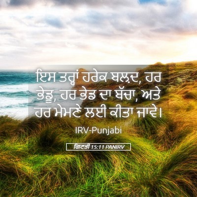 Picture 05 - ਗਿਣਤੀ 15:11 PANIRV - ਇਸ ਤਰ੍ਹਾਂ ਹਰੇਕ - Bible Verse Picture