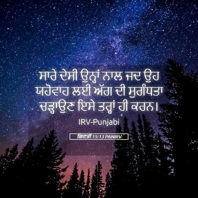 Picture 05 - ਗਿਣਤੀ 15:13 PANIRV - ਸਾਰੇ ਦੇਸੀ ਉਨ੍ਹਾਂ - Bible Verse Picture