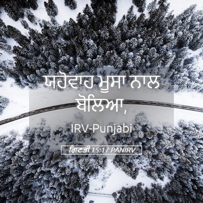 Picture 05 - ਗਿਣਤੀ 15:17 PANIRV - ਯਹੋਵਾਹ ਮੂਸਾ ਨਾਲ - Bible Verse Picture