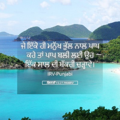 Picture 05 - ਗਿਣਤੀ 15:27 PANIRV - ਜੇ ਇੱਕੋ ਹੀ ਮਨੁੱਖ - Bible Verse Picture