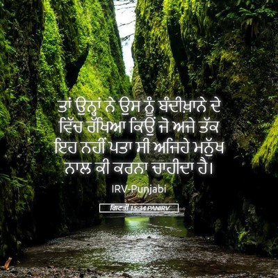 Picture 05 - ਗਿਣਤੀ 15:34 PANIRV - ਤਾਂ ਉਨ੍ਹਾਂ ਨੇ ਉਸ - Bible Verse Picture