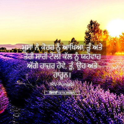 Picture 05 - ਗਿਣਤੀ 16:16 PANIRV - ਮੂਸਾ ਨੇ ਕੋਰਹ ਨੂੰ - Bible Verse Picture