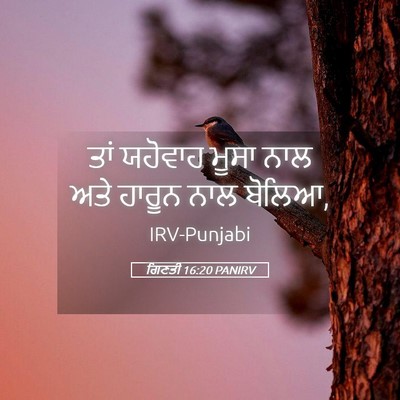 Picture 05 - ਗਿਣਤੀ 16:20 PANIRV - ਤਾਂ ਯਹੋਵਾਹ ਮੂਸਾ - Bible Verse Picture