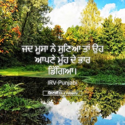 Picture 05 - ਗਿਣਤੀ 16:4 PANIRV - ਜਦ ਮੂਸਾ ਨੇ ਸੁਣਿਆ - Bible Verse Picture