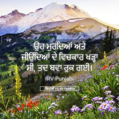 Picture 05 - ਗਿਣਤੀ 16:48 PANIRV - ਉਹ ਮੁਰਦਿਆਂ ਅਤੇ - Bible Verse Picture