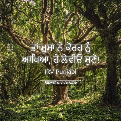 Picture 05 - ਗਿਣਤੀ 16:8 PANIRV - ਤਾਂ ਮੂਸਾ ਨੇ ਕੋਰਹ - Bible Verse Picture