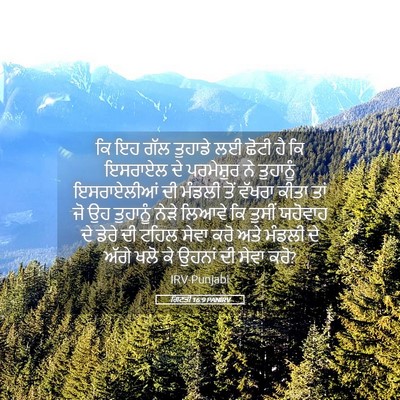 Picture 05 - ਗਿਣਤੀ 16:9 PANIRV - ਕਿ ਇਹ ਗੱਲ ਤੁਹਾਡੇ ਲਈ - Bible Verse Picture