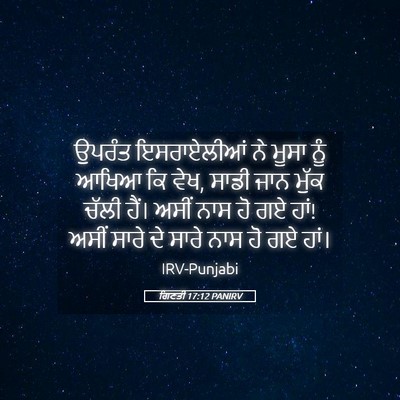 Picture 05 - ਗਿਣਤੀ 17:12 PANIRV - ਉਪਰੰਤ ਇਸਰਾਏਲੀਆਂ - Bible Verse Picture