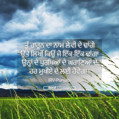 Picture 05 - ਗਿਣਤੀ 17:3 PANIRV - ਤੂੰ ਹਾਰੂਨ ਦਾ ਨਾਮ - Bible Verse Picture