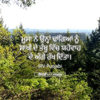 Picture 05 - ਗਿਣਤੀ 17:7 PANIRV - ਮੂਸਾ ਨੇ ਉਨ੍ਹਾਂ - Bible Verse Picture