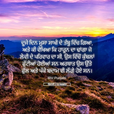 Picture 05 - ਗਿਣਤੀ 17:8 PANIRV - ਦੂਜੇ ਦਿਨ ਮੂਸਾ ਸਾਖੀ - Bible Verse Picture