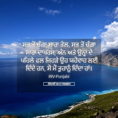 Picture 05 - ਗਿਣਤੀ 18:12 PANIRV - ਸਭ ਤੋਂ ਚੰਗਾ ਸਾਰਾ - Bible Verse Picture