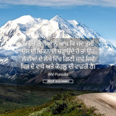 Picture 05 - ਗਿਣਤੀ 18:30 PANIRV - ਅਤੇ ਤੂੰ ਲੇਵੀਆਂ ਨੂੰ - Bible Verse Picture