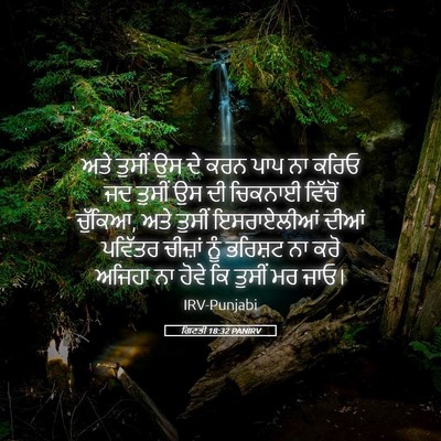 Picture 05 - ਗਿਣਤੀ 18:32 PANIRV - ਅਤੇ ਤੁਸੀਂ ਉਸ ਦੇ ਕਰਨ - Bible Verse Picture