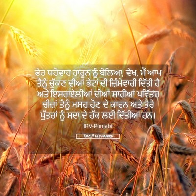 Picture 05 - ਗਿਣਤੀ 18:8 PANIRV - ਫੇਰ ਯਹੋਵਾਹ ਹਾਰੂਨ - Bible Verse Picture
