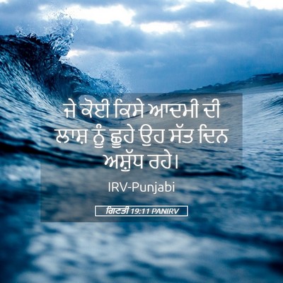 Picture 05 - ਗਿਣਤੀ 19:11 PANIRV - ਜੇ ਕੋਈ ਕਿਸੇ ਆਦਮੀ ਦੀ - Bible Verse Picture