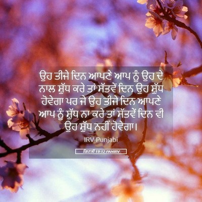 Picture 05 - ਗਿਣਤੀ 19:12 PANIRV - ਉਹ ਤੀਜੇ ਦਿਨ ਆਪਣੇ ਆਪ - Bible Verse Picture