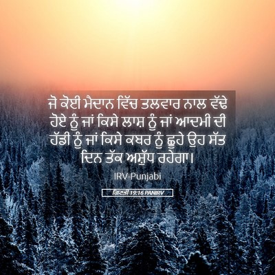 Picture 05 - ਗਿਣਤੀ 19:16 PANIRV - ਜੋ ਕੋਈ ਮੈਦਾਨ ਵਿੱਚ - Bible Verse Picture