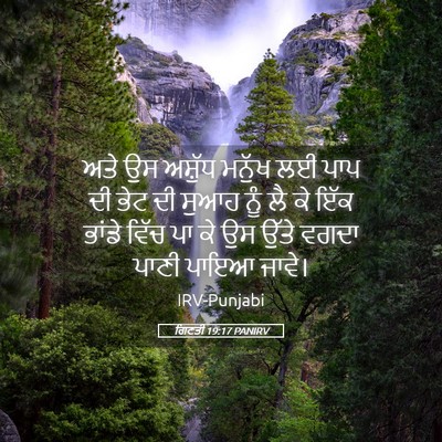 Picture 05 - ਗਿਣਤੀ 19:17 PANIRV - ਅਤੇ ਉਸ ਅਸ਼ੁੱਧ - Bible Verse Picture