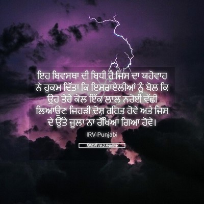 Picture 05 - ਗਿਣਤੀ 19:2 PANIRV - ਇਹ ਬਿਵਸਥਾ ਦੀ ਬਿਧੀ - Bible Verse Picture