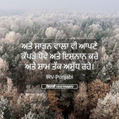 Picture 05 - ਗਿਣਤੀ 19:8 PANIRV - ਅਤੇ ਸਾੜਨ ਵਾਲਾ ਵੀ - Bible Verse Picture