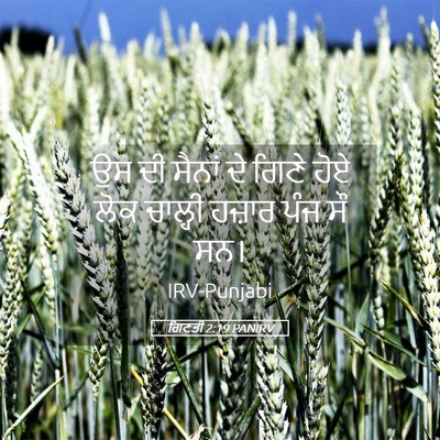 Picture 05 - ਗਿਣਤੀ 2:19 PANIRV - ਉਸ ਦੀ ਸੈਨਾਂ ਦੇ ਗਿਣੇ - Bible Verse Picture