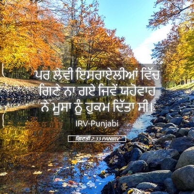 Picture 05 - ਗਿਣਤੀ 2:33 PANIRV - ਪਰ ਲੇਵੀ ਇਸਰਾਏਲੀਆਂ - Bible Verse Picture