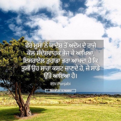 Picture 05 - ਗਿਣਤੀ 20:14 PANIRV - ਫੇਰ ਮੂਸਾ ਨੇ ਕਾਦੇਸ਼ - Bible Verse Picture