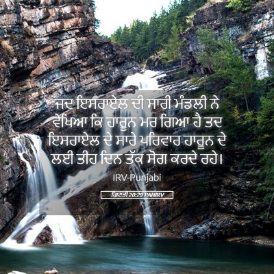 Picture 05 - ਗਿਣਤੀ 20:29 PANIRV - ਜਦ ਇਸਰਾਏਲ ਦੀ ਸਾਰੀ - Bible Verse Picture