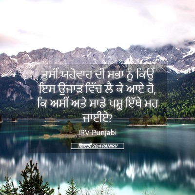 Picture 05 - ਗਿਣਤੀ 20:4 PANIRV - ਤੁਸੀਂ ਯਹੋਵਾਹ ਦੀ - Bible Verse Picture