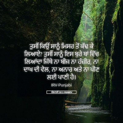 Picture 05 - ਗਿਣਤੀ 20:5 PANIRV - ਤੁਸੀਂ ਕਿਉਂ ਸਾਨੂੰ - Bible Verse Picture