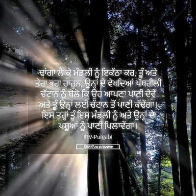 Picture 05 - ਗਿਣਤੀ 20:8 PANIRV - ਢਾਂਗਾ ਲੈ ਕੇ ਮੰਡਲੀ - Bible Verse Picture
