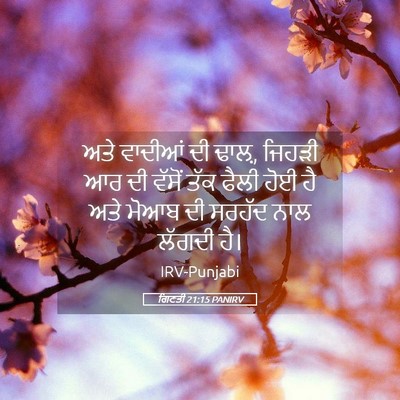 Picture 05 - ਗਿਣਤੀ 21:15 PANIRV - ਅਤੇ ਵਾਦੀਆਂ ਦੀ ਢਾਲ਼, - Bible Verse Picture