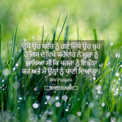 Picture 05 - ਗਿਣਤੀ 21:16 PANIRV - ਉੱਥੋਂ ਉਹ ਬਏਰ ਨੂੰ ਗਏ - Bible Verse Picture