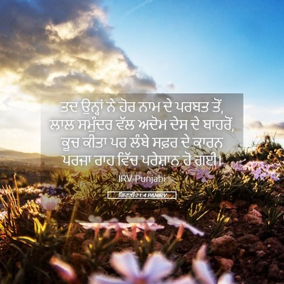 Picture 05 - ਗਿਣਤੀ 21:4 PANIRV - ਤਦ ਉਨ੍ਹਾਂ ਨੇ ਹੋਰ - Bible Verse Picture