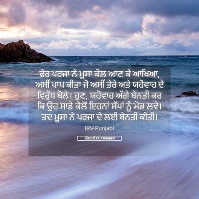 Picture 05 - ਗਿਣਤੀ 21:7 PANIRV - ਫੇਰ ਪਰਜਾ ਨੇ ਮੂਸਾ - Bible Verse Picture