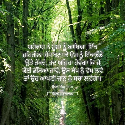 Picture 05 - ਗਿਣਤੀ 21:8 PANIRV - ਯਹੋਵਾਹ ਨੇ ਮੂਸਾ ਨੂੰ - Bible Verse Picture