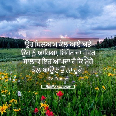 Picture 05 - ਗਿਣਤੀ 22:16 PANIRV - ਉਹ ਬਿਲਆਮ ਕੋਲ ਆਏ ਅਤੇ - Bible Verse Picture