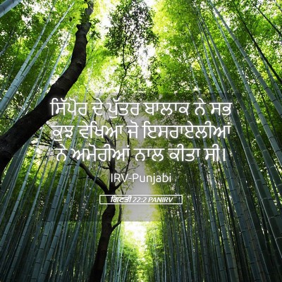 Picture 05 - ਗਿਣਤੀ 22:2 PANIRV - ਸਿੱਪੋਰ ਦੇ ਪੁੱਤਰ - Bible Verse Picture