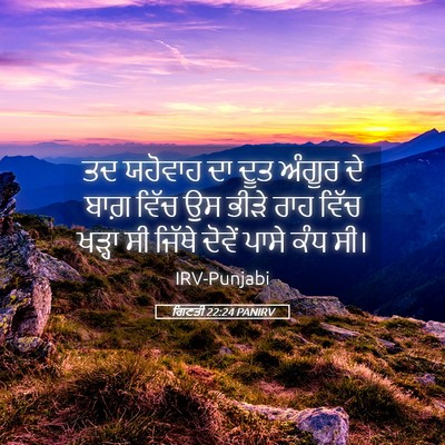 Picture 05 - ਗਿਣਤੀ 22:24 PANIRV - ਤਦ ਯਹੋਵਾਹ ਦਾ ਦੂਤ - Bible Verse Picture