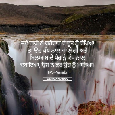 Picture 05 - ਗਿਣਤੀ 22:25 PANIRV - ਜਦੋਂ ਗਧੀ ਨੇ ਯਹੋਵਾਹ - Bible Verse Picture