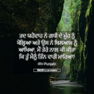 Picture 05 - ਗਿਣਤੀ 22:28 PANIRV - ਤਦ ਯਹੋਵਾਹ ਨੇ ਗਧੀ ਦੇ - Bible Verse Picture
