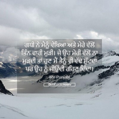 Picture 05 - ਗਿਣਤੀ 22:33 PANIRV - ਗਧੀ ਨੇ ਮੈਨੂੰ ਵੇਖਿਆ - Bible Verse Picture